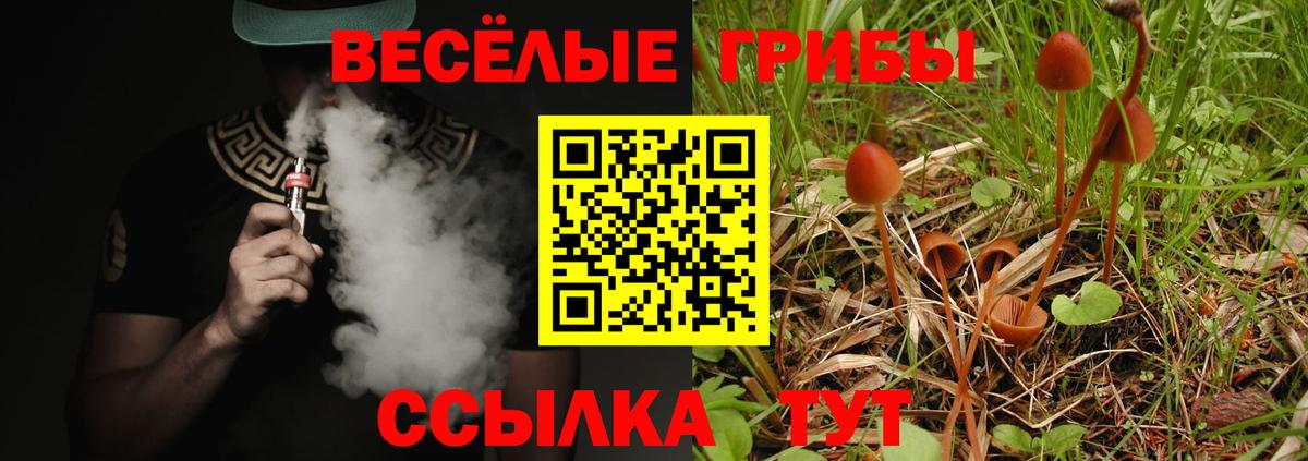 Псилоцибиновые грибы мухоморы Алатырь
